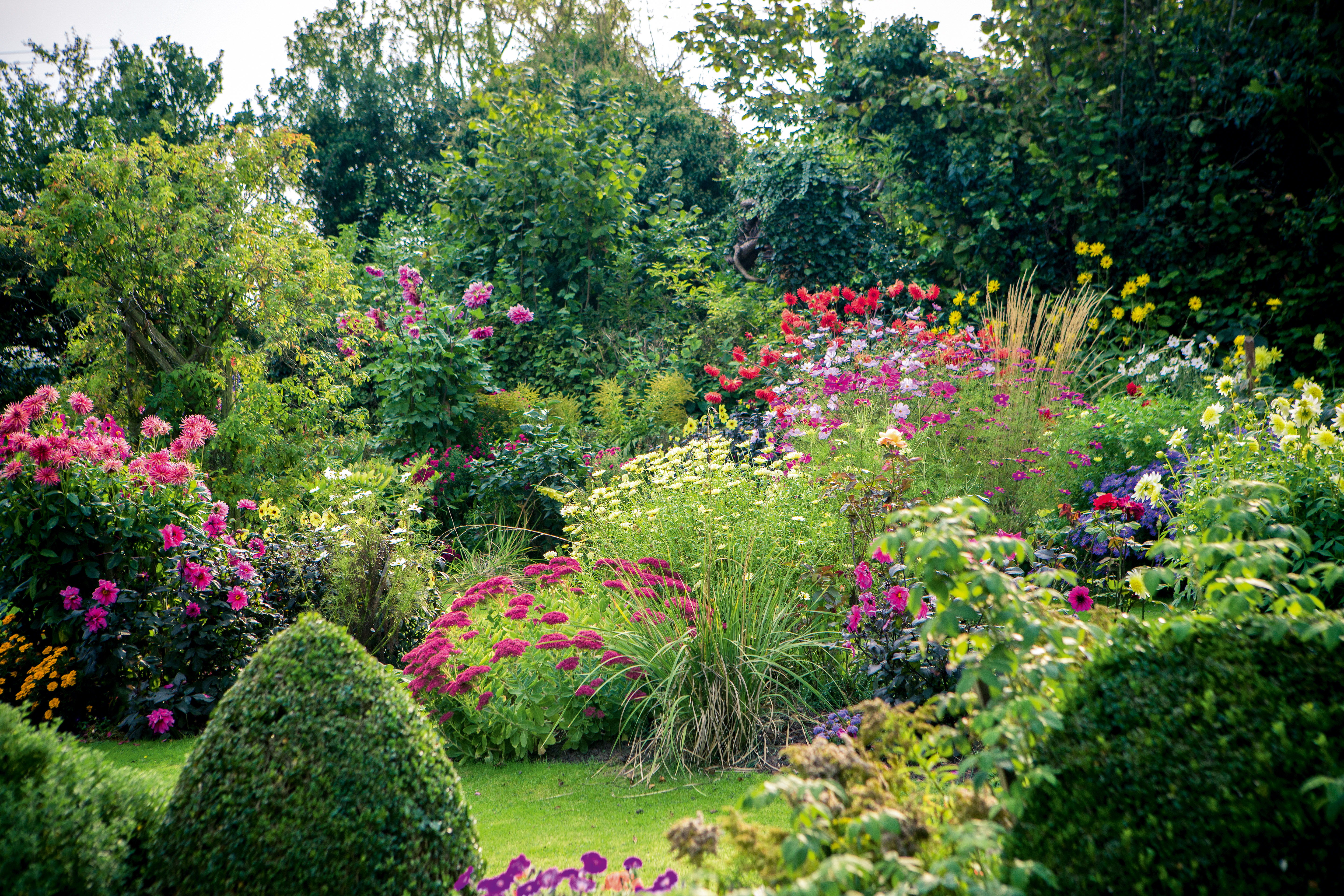 Deryck Body's garden