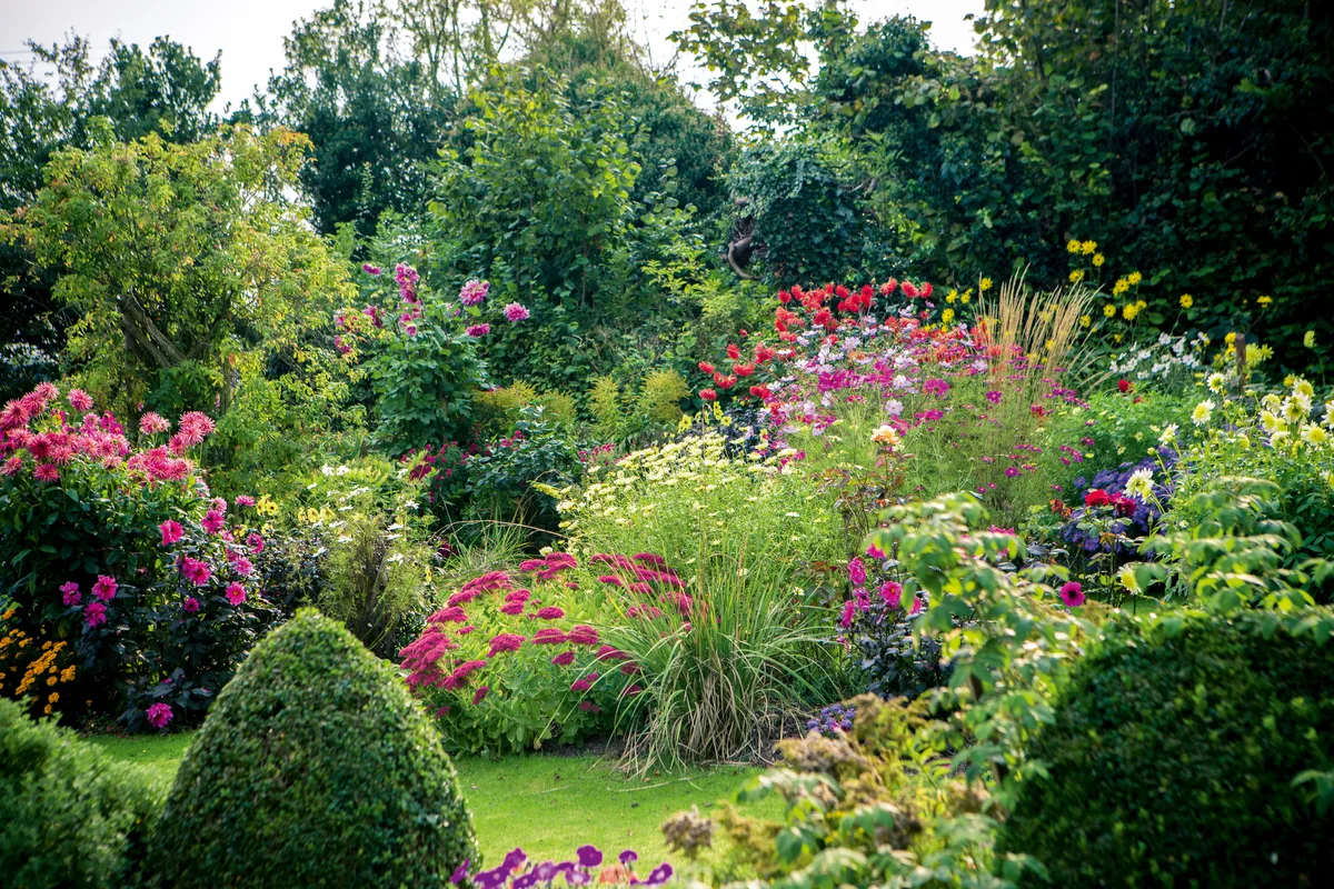 Deryck Body's garden