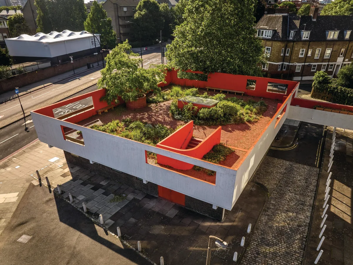 Urban rooftop garden in sunshine