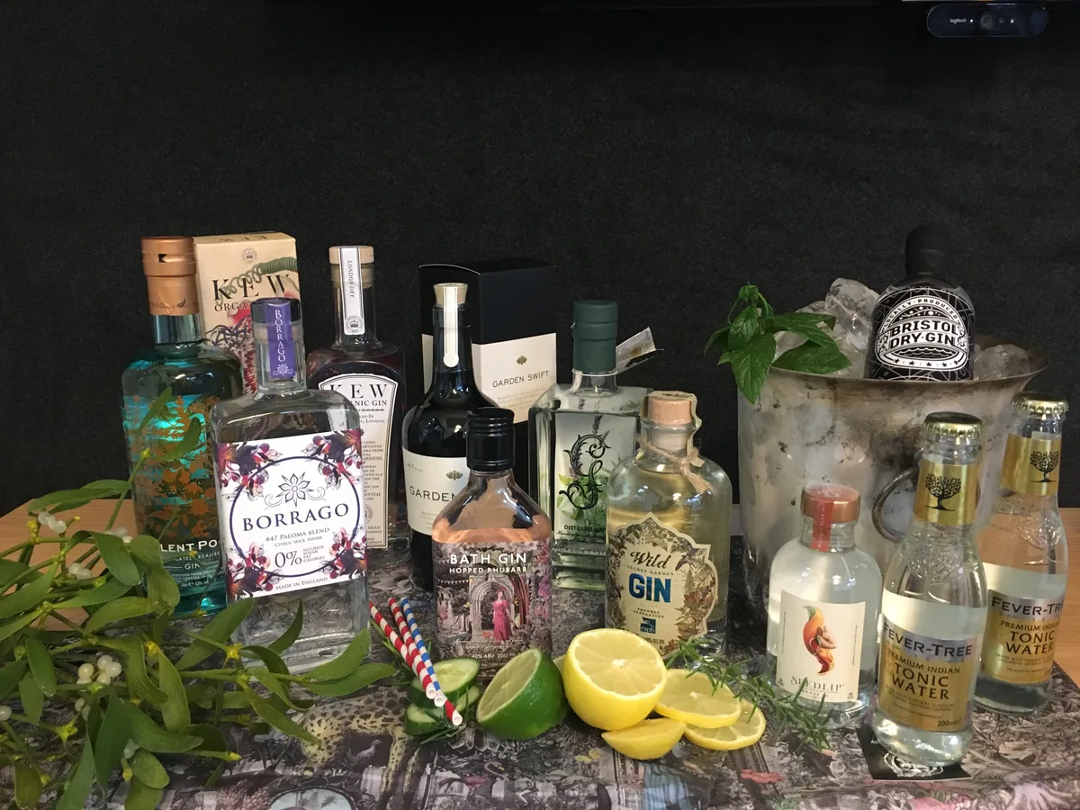 Best gin with botanicals