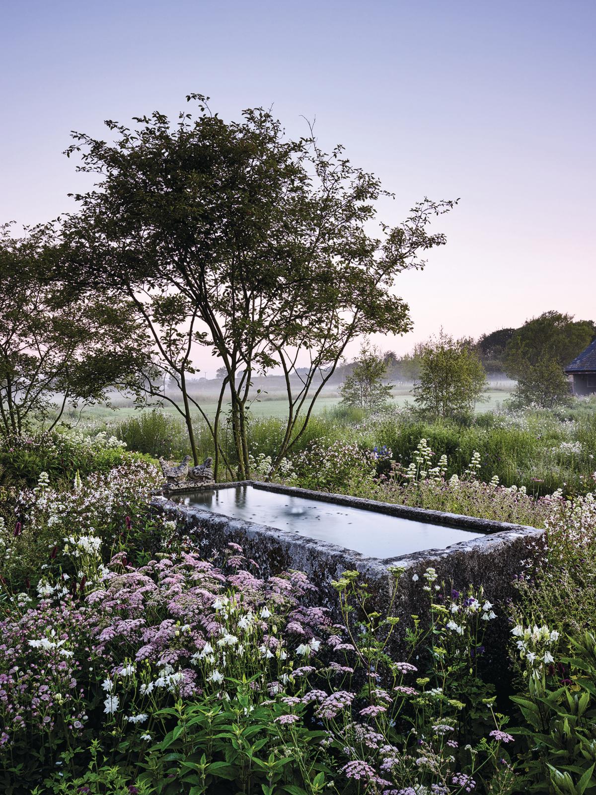 A water trough amid planting at Yelford Manor, designed by Katie Guillebaud
