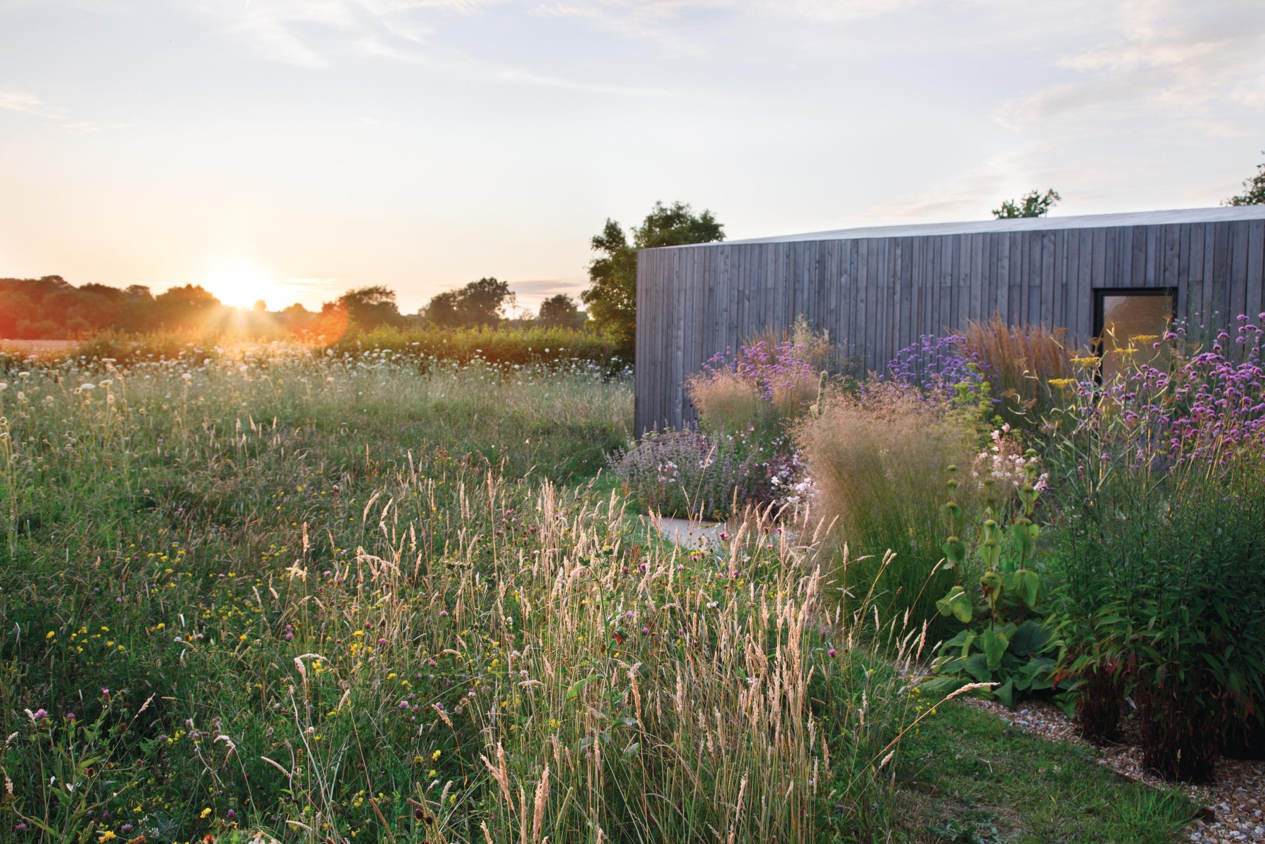 Meadow garden and house