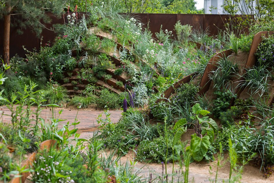 The Hospitalfield Arts Garden. Designed by Nigel Dunnett. Show Garden at RHS Chelsea Flower Show 2025 © Neil Hepworth