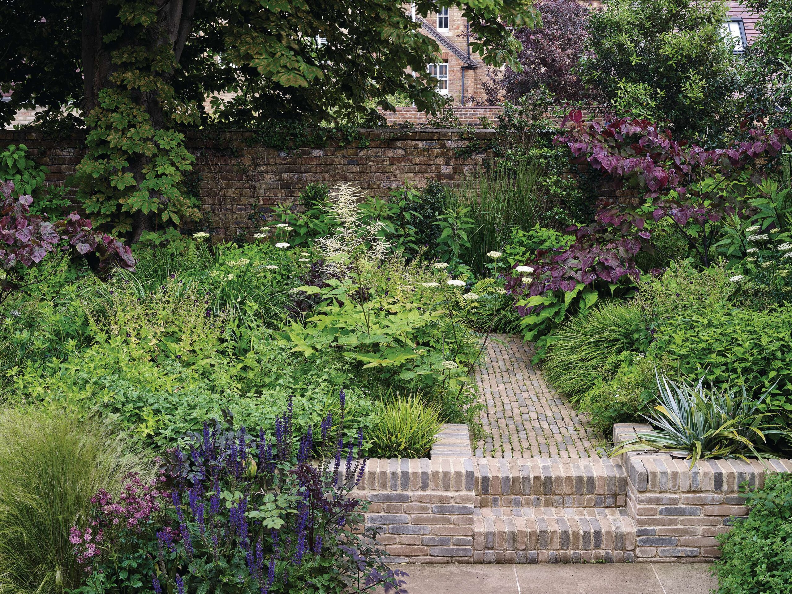 Garden path in Plantation Road, Oxford