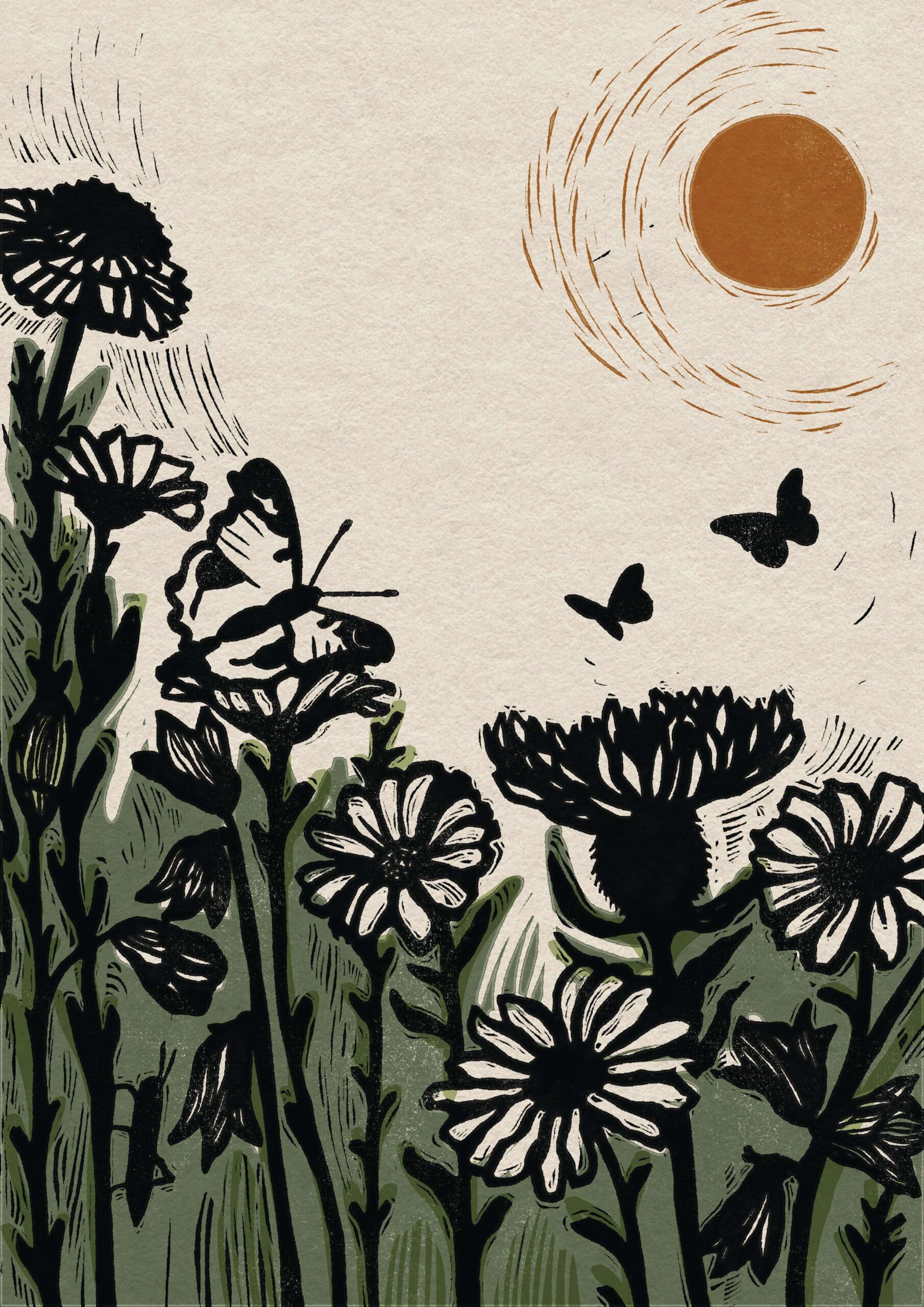 Why you can have a mini meadow in your garden