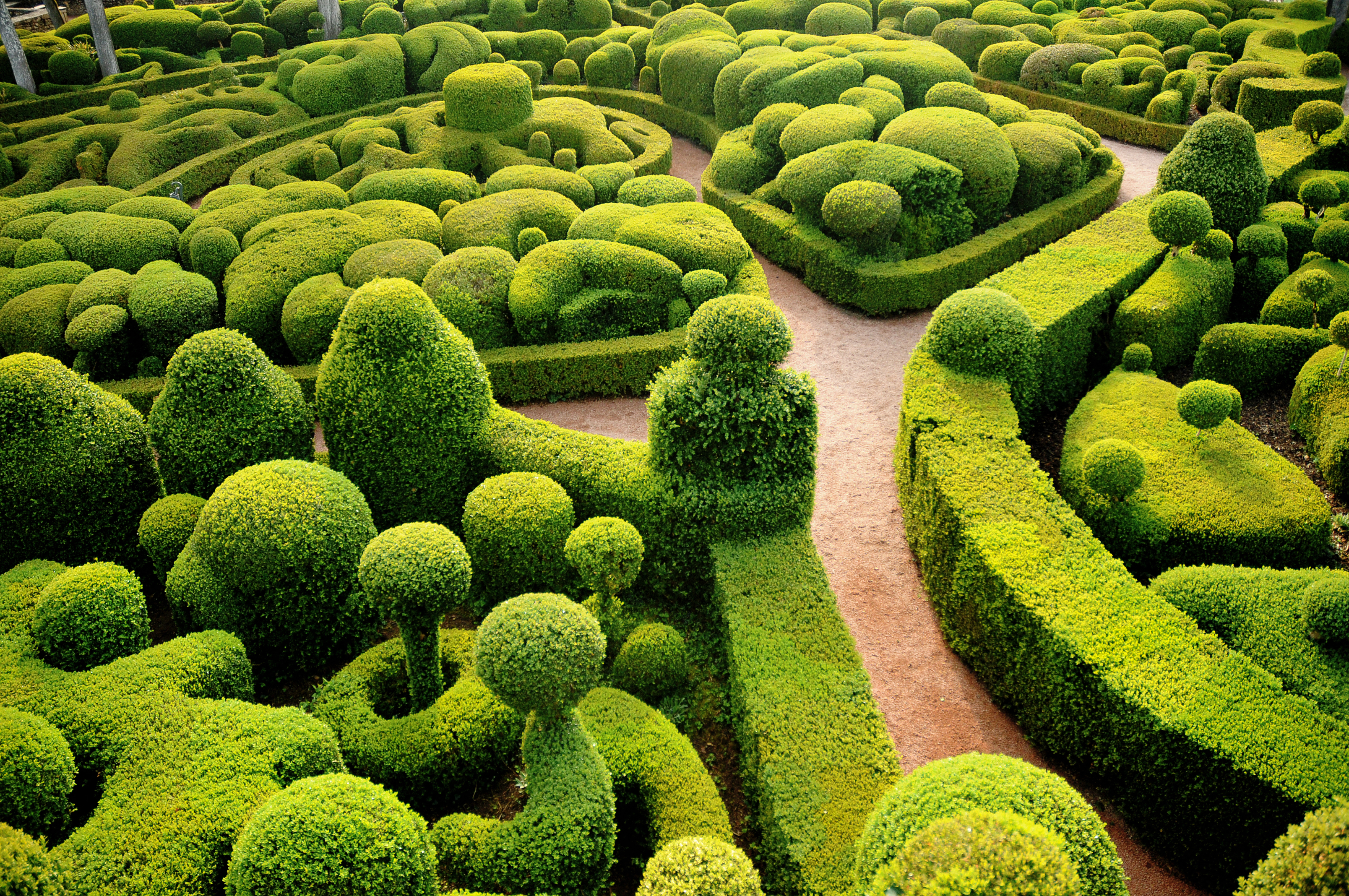 France's Marqueyssac garden on the Dordogne