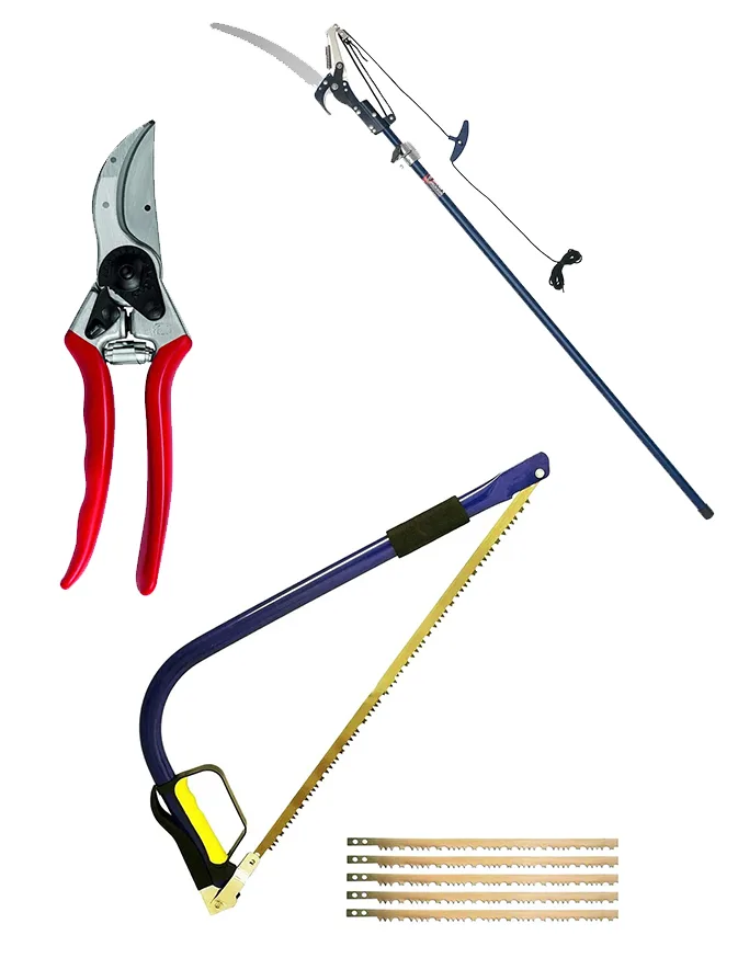 Pruning tools on a white background