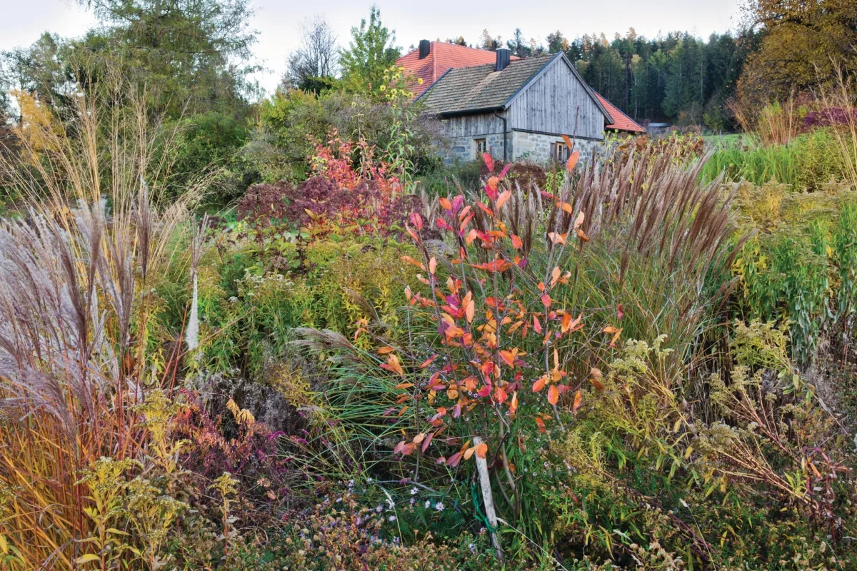 Garden borders with house