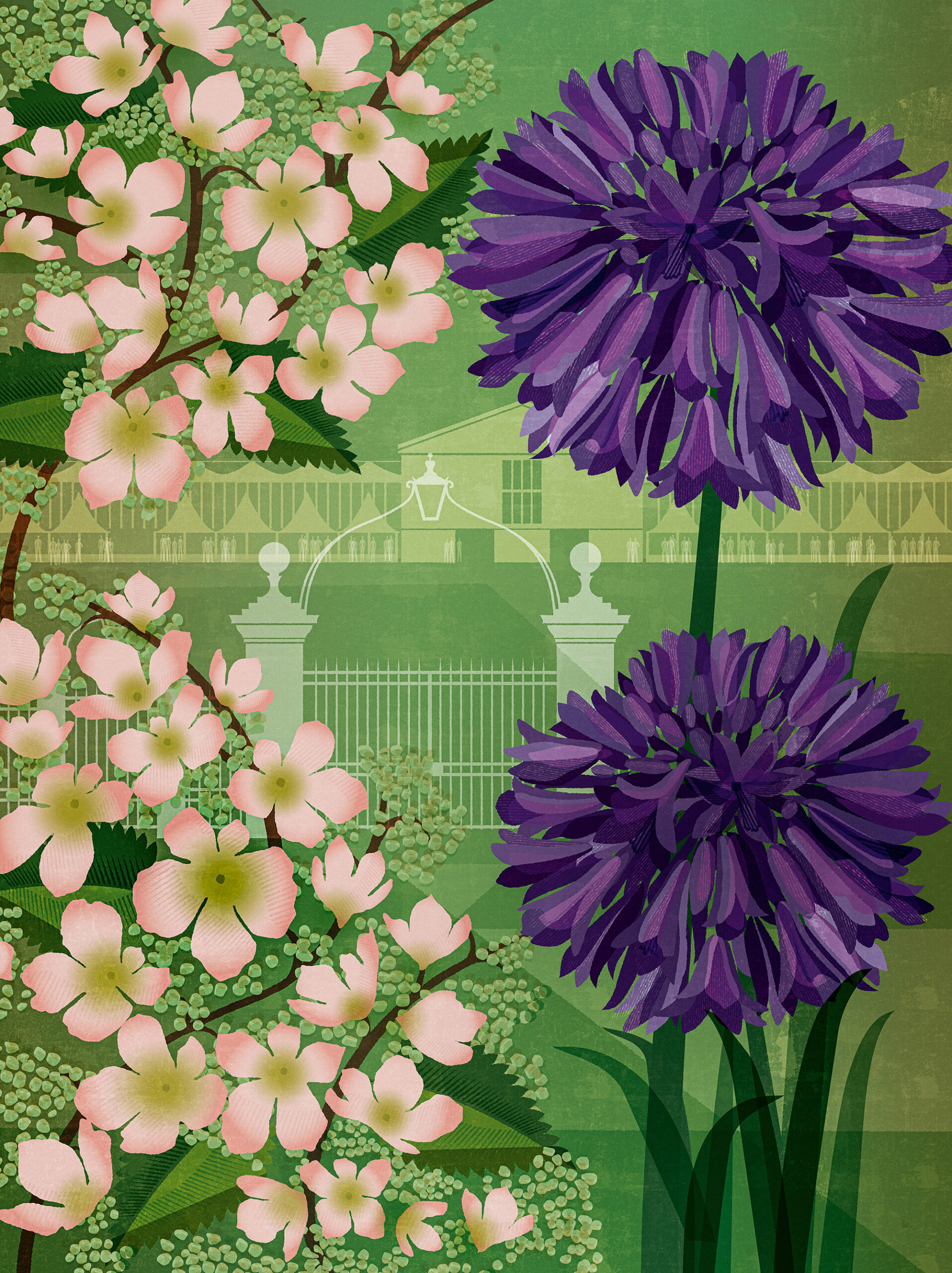Flower illustration