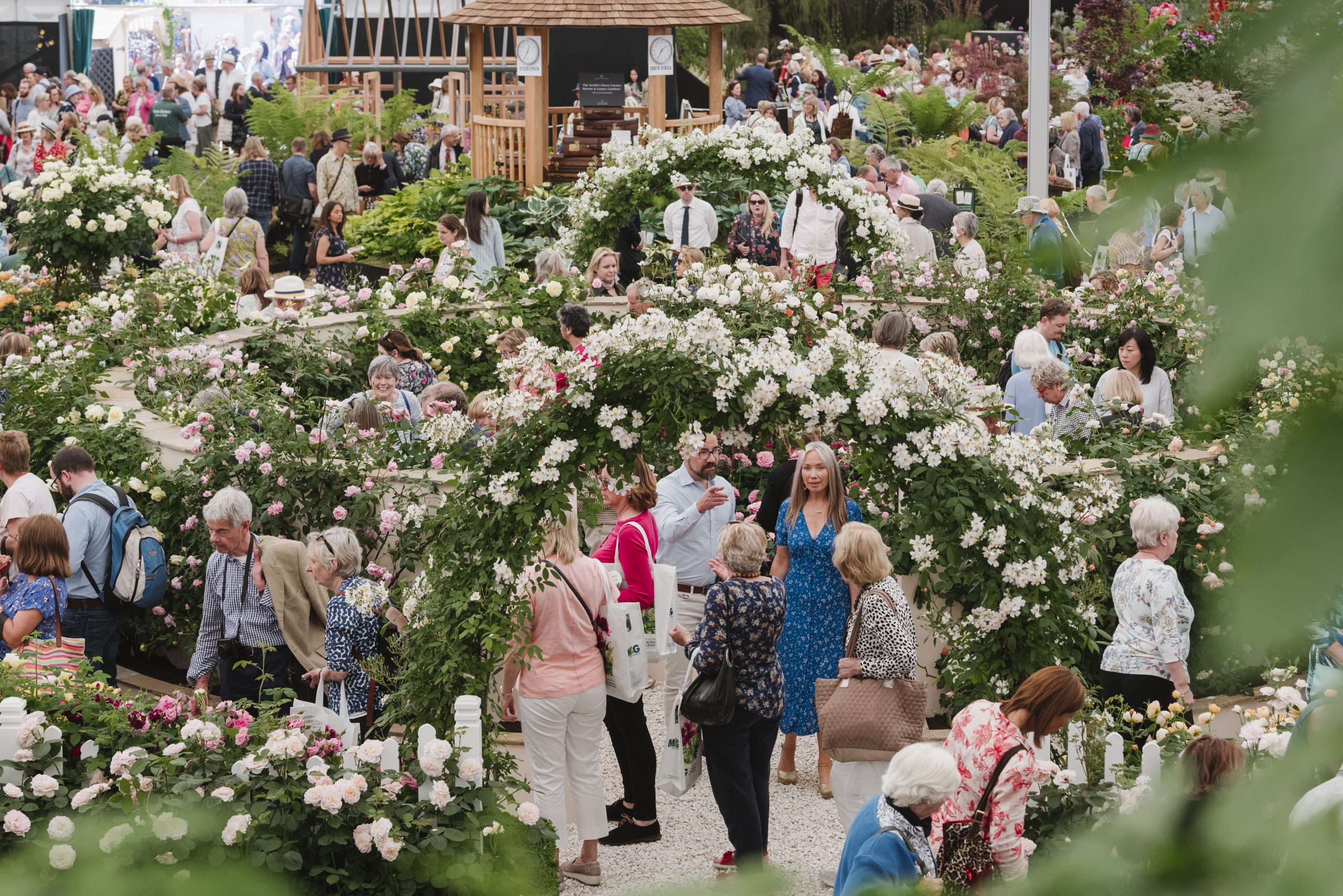 The Great Pavilion at the RHS Chelsea Flower Show.