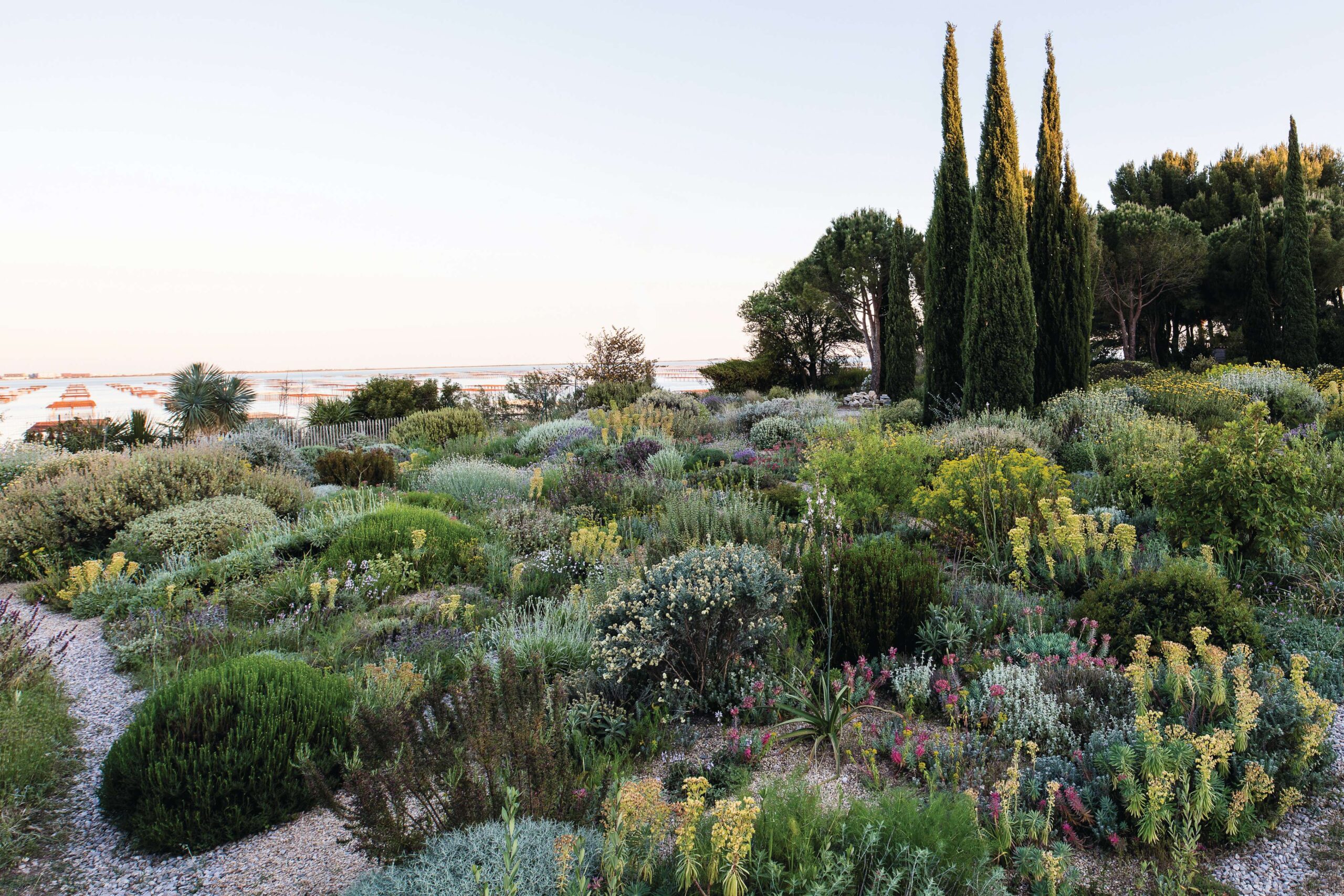 Olivier and Clara Filippi's experimental Mediterranean garden Le Jardin Sec © Claire Takacs