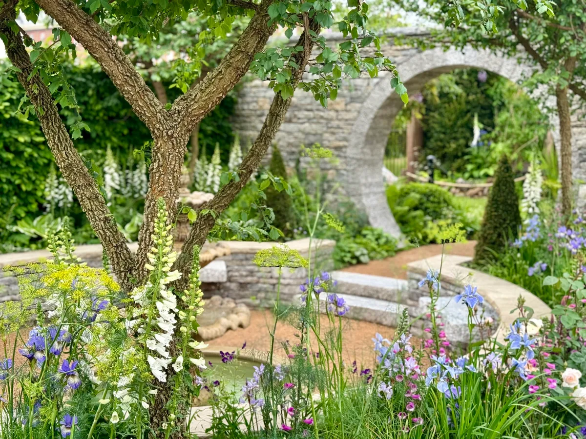 The Bridgerton Garden at RHS Chelsea Flower Show, designed by Holly Johnston