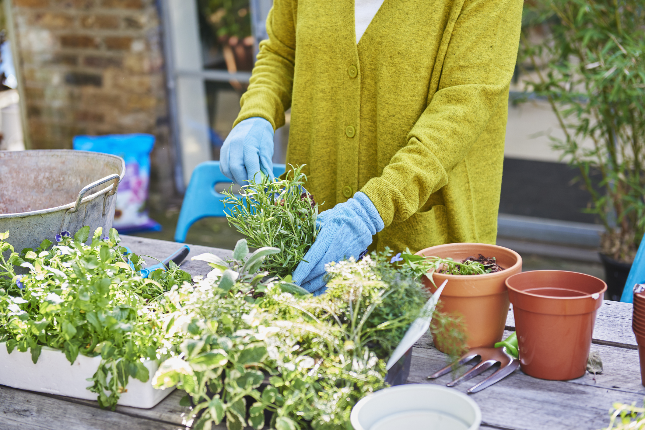 Woman gardening and potting plants