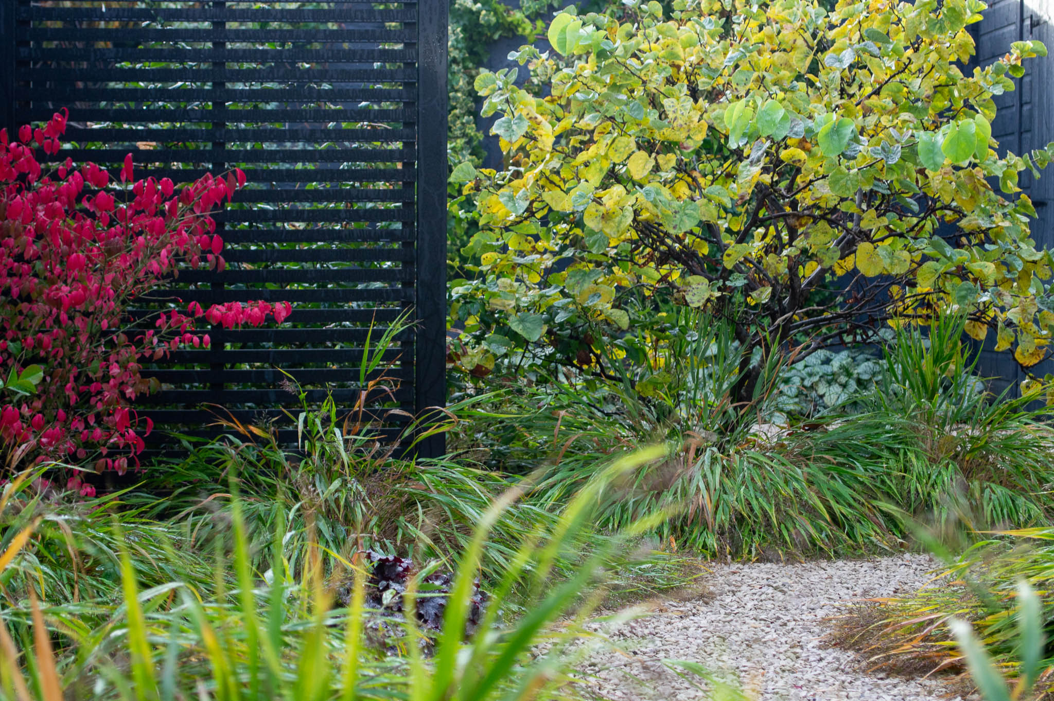 Corner of an east London garden designed by Alexa Ryan-Mills