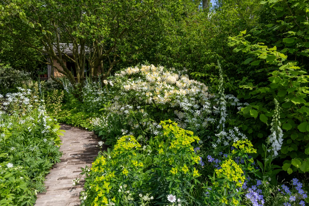 The National Garden Scheme Garden at RHS Chelsea Flower Show. Designed by Tom Stuart-Smith. Sponsored by Project Giving Back.
