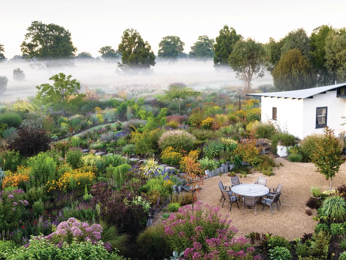 Mist over colourful garden with white building and seating area