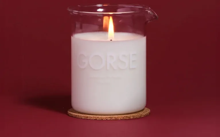 Gorse candle for Christmas