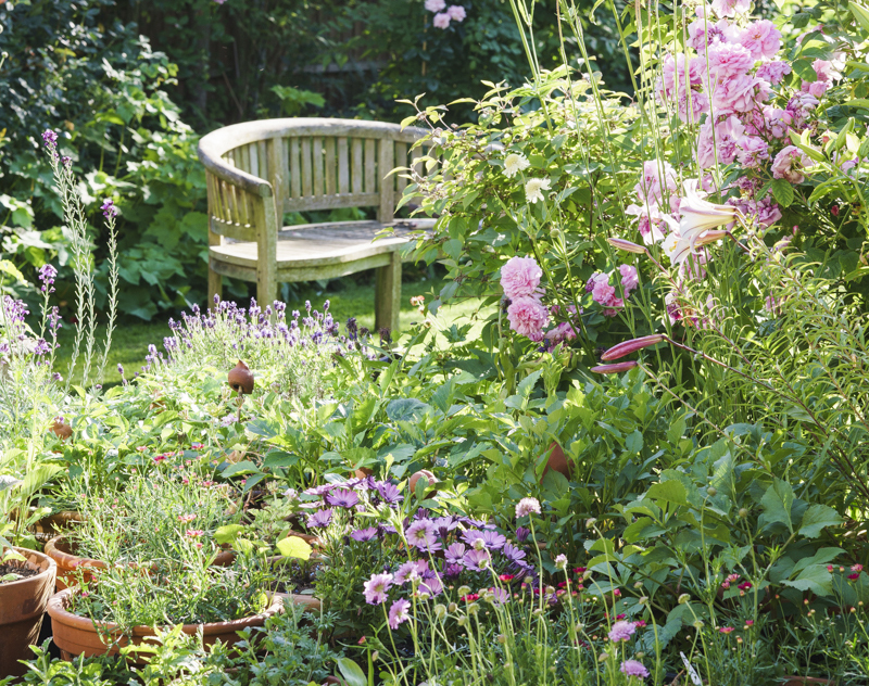A garden with a bench