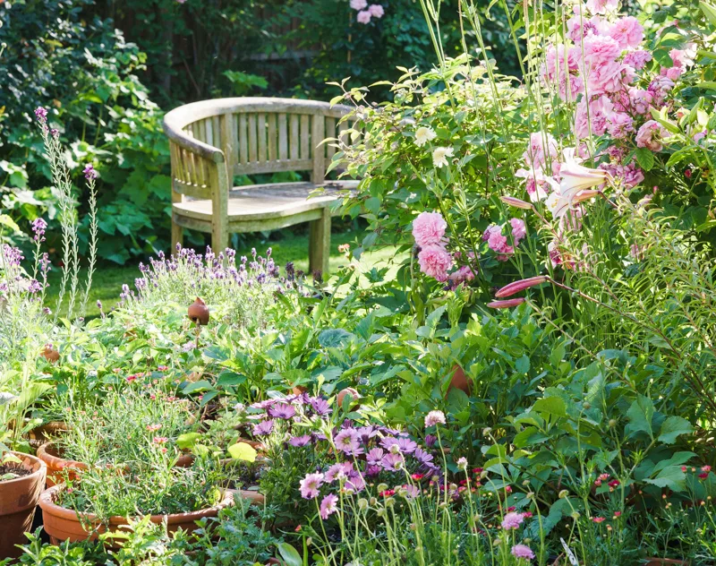 A garden with a bench