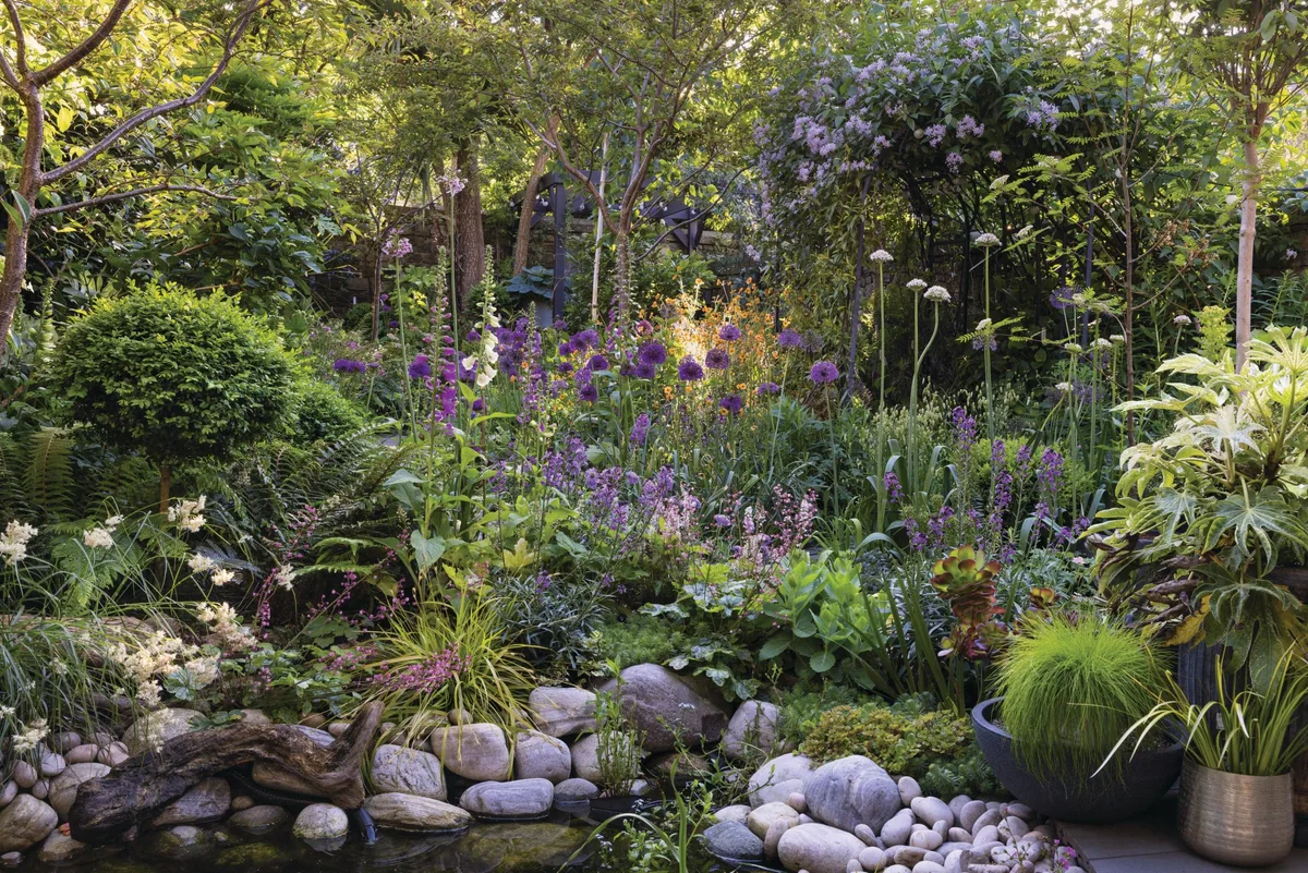 Purple plants in woodland garden