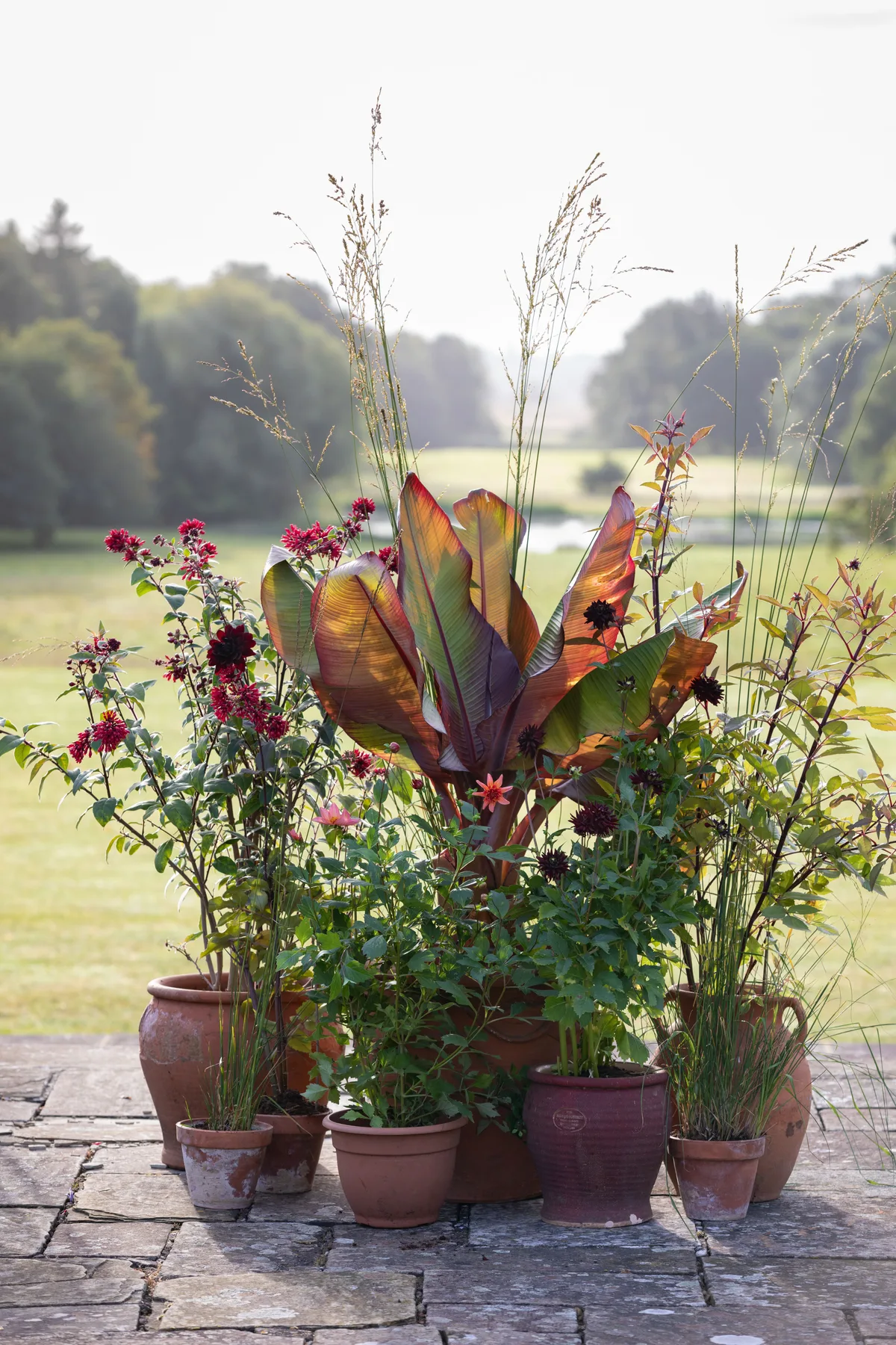 Pots of Style, September, designed by Jenny Barnes, Head Gardener at Cottesbrooke Hall gardens.