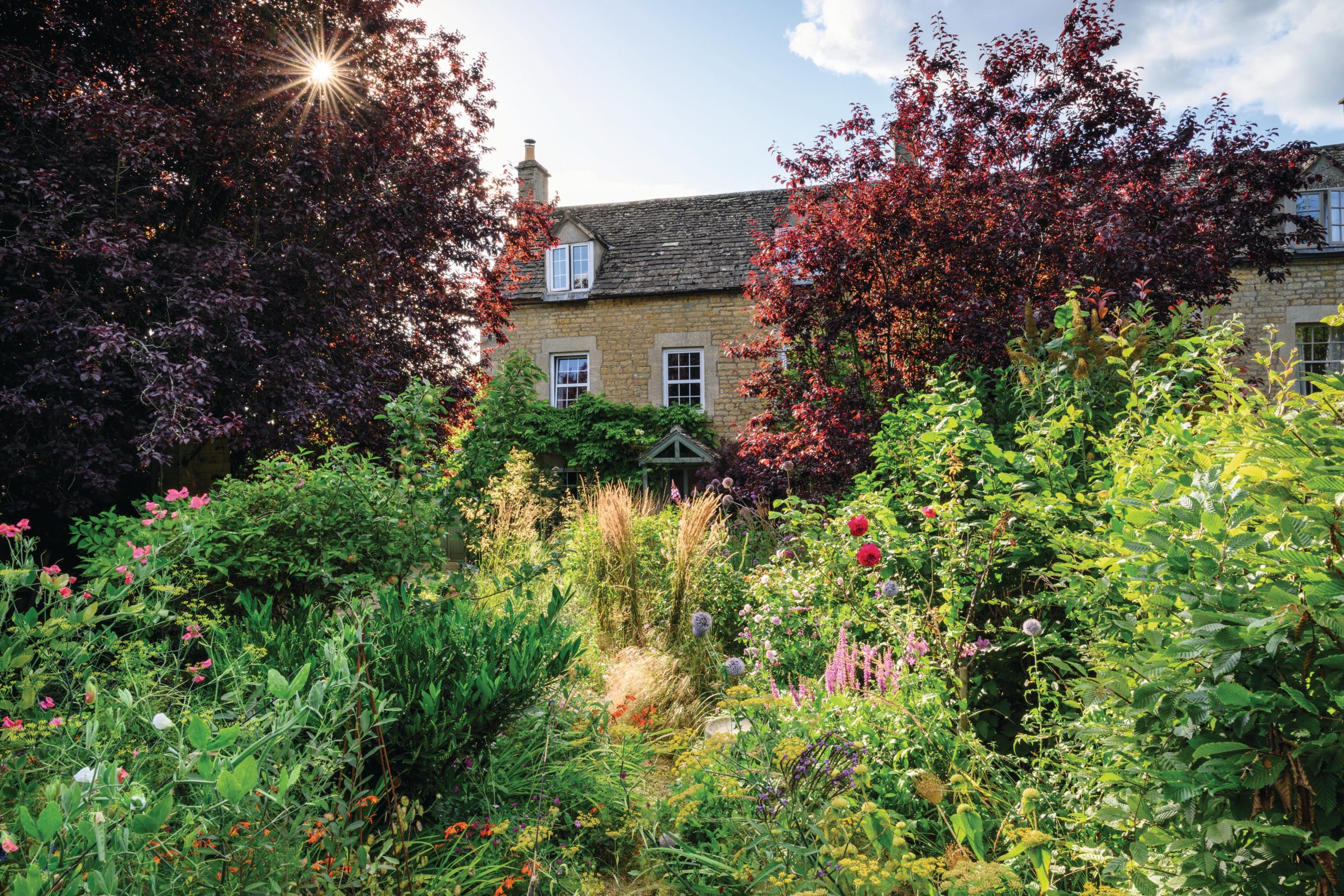 House and garden