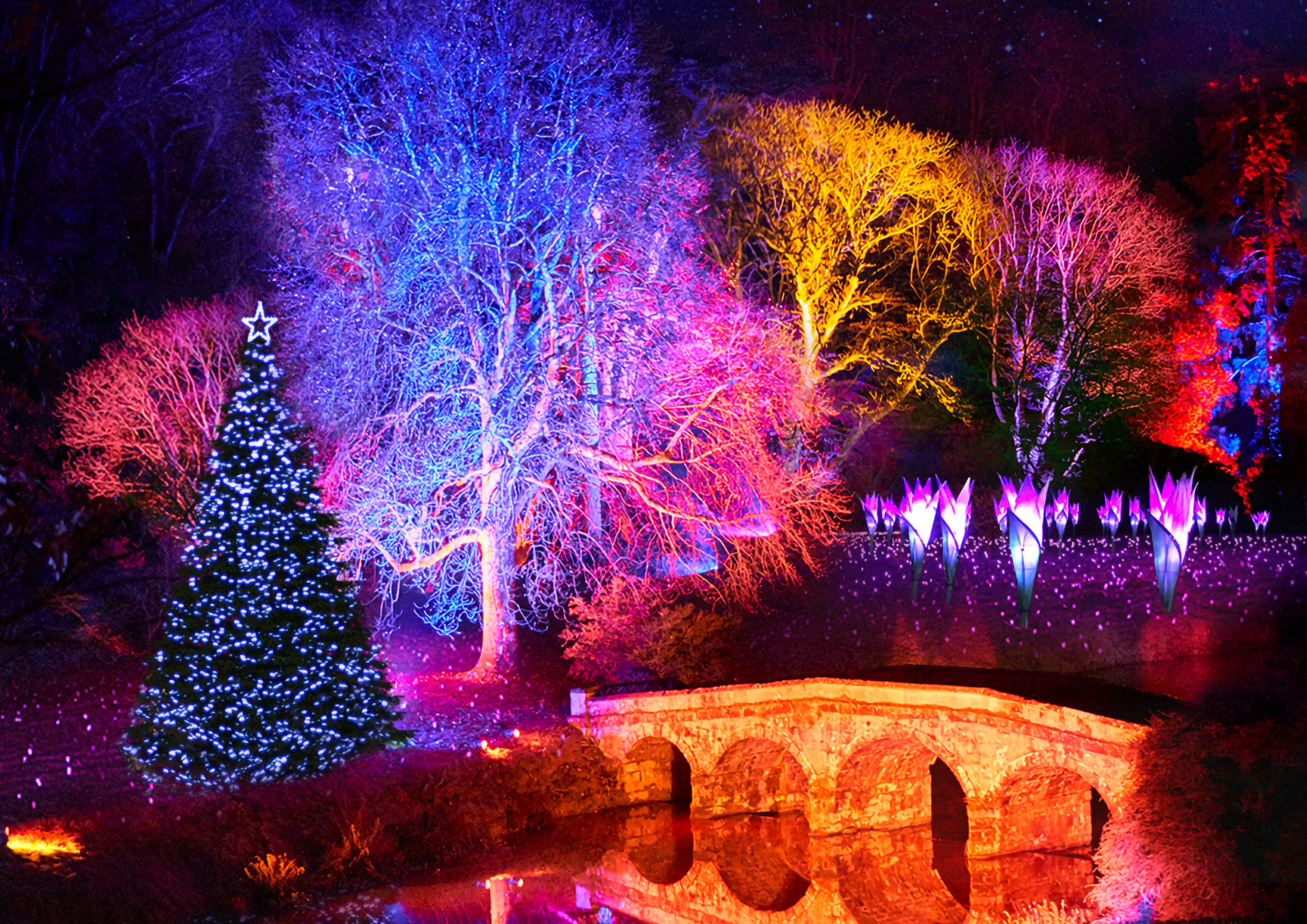 Stourhead Christmas light show