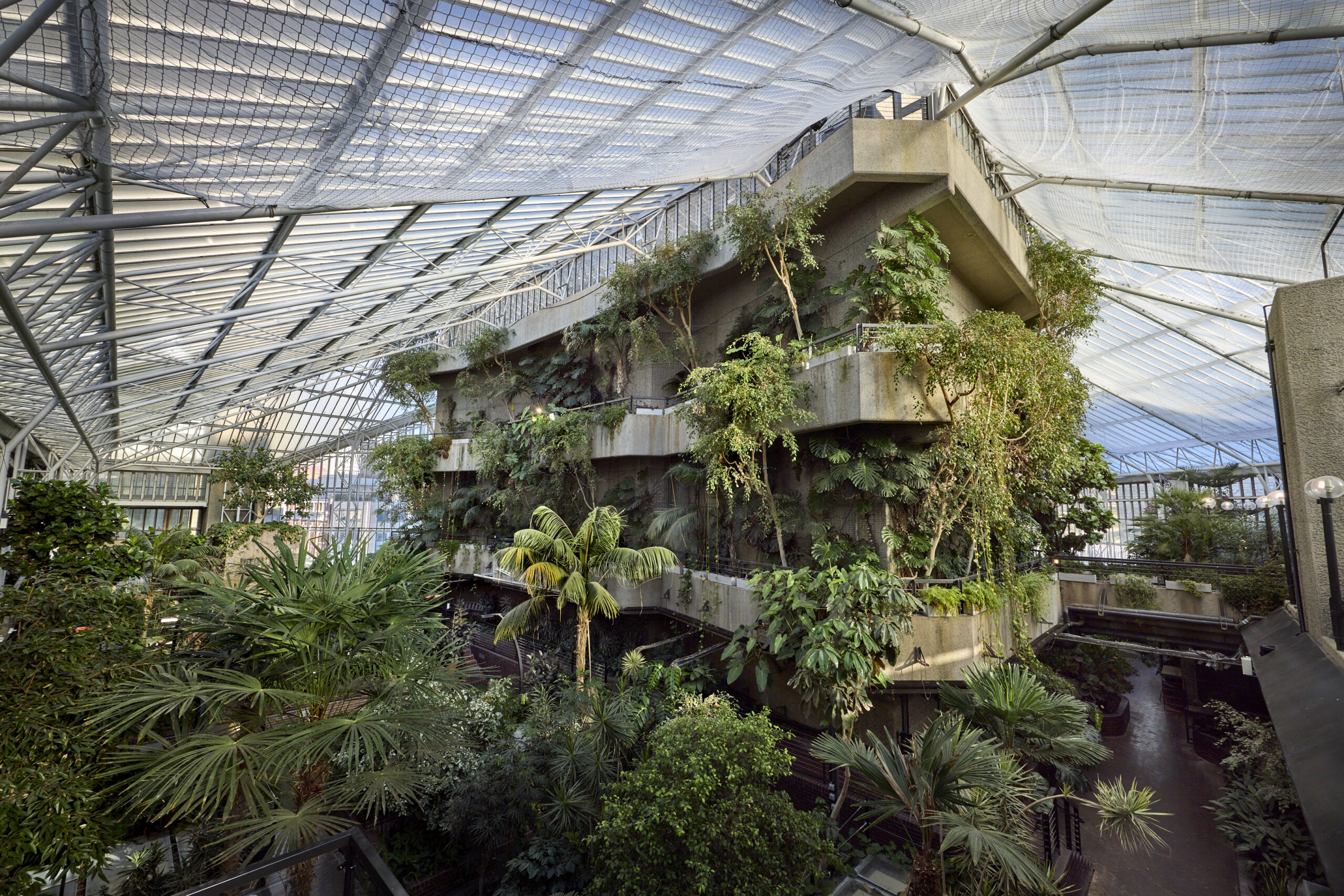 Barbican Conservatory