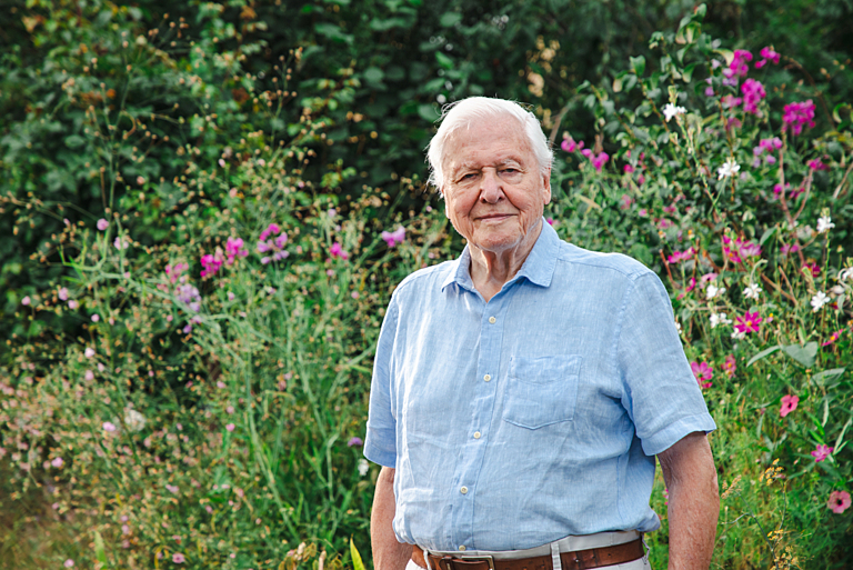 Sir David Attenborough © BBC / Plimsoll Productions
