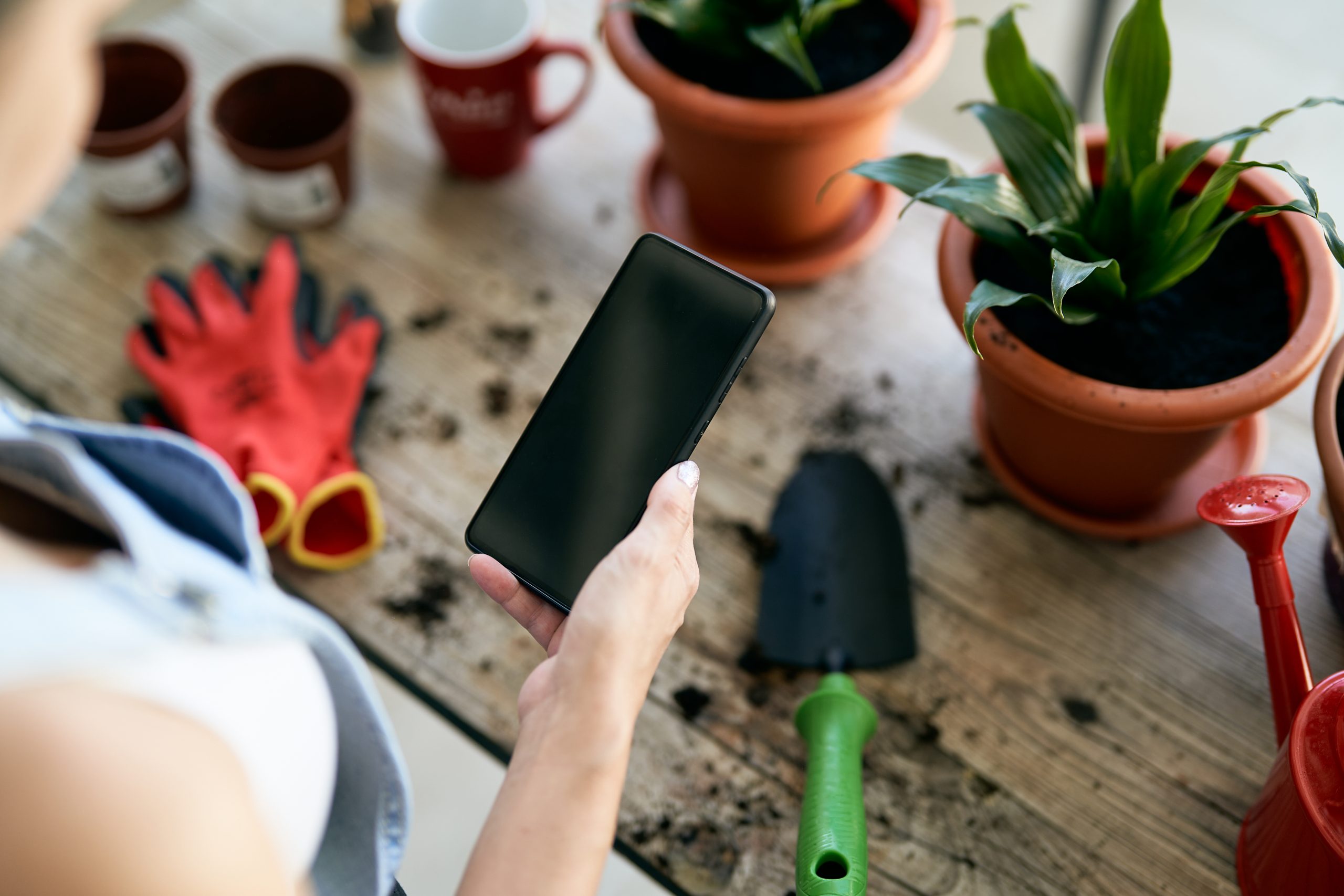 Portrait of unrecognizable young woman using mobile phone while taking care of potted plants at home on old wooden table with gardening items dressed in work clothes