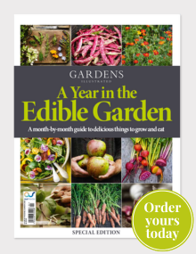 Cover of A Year in the Edible Garden magazine