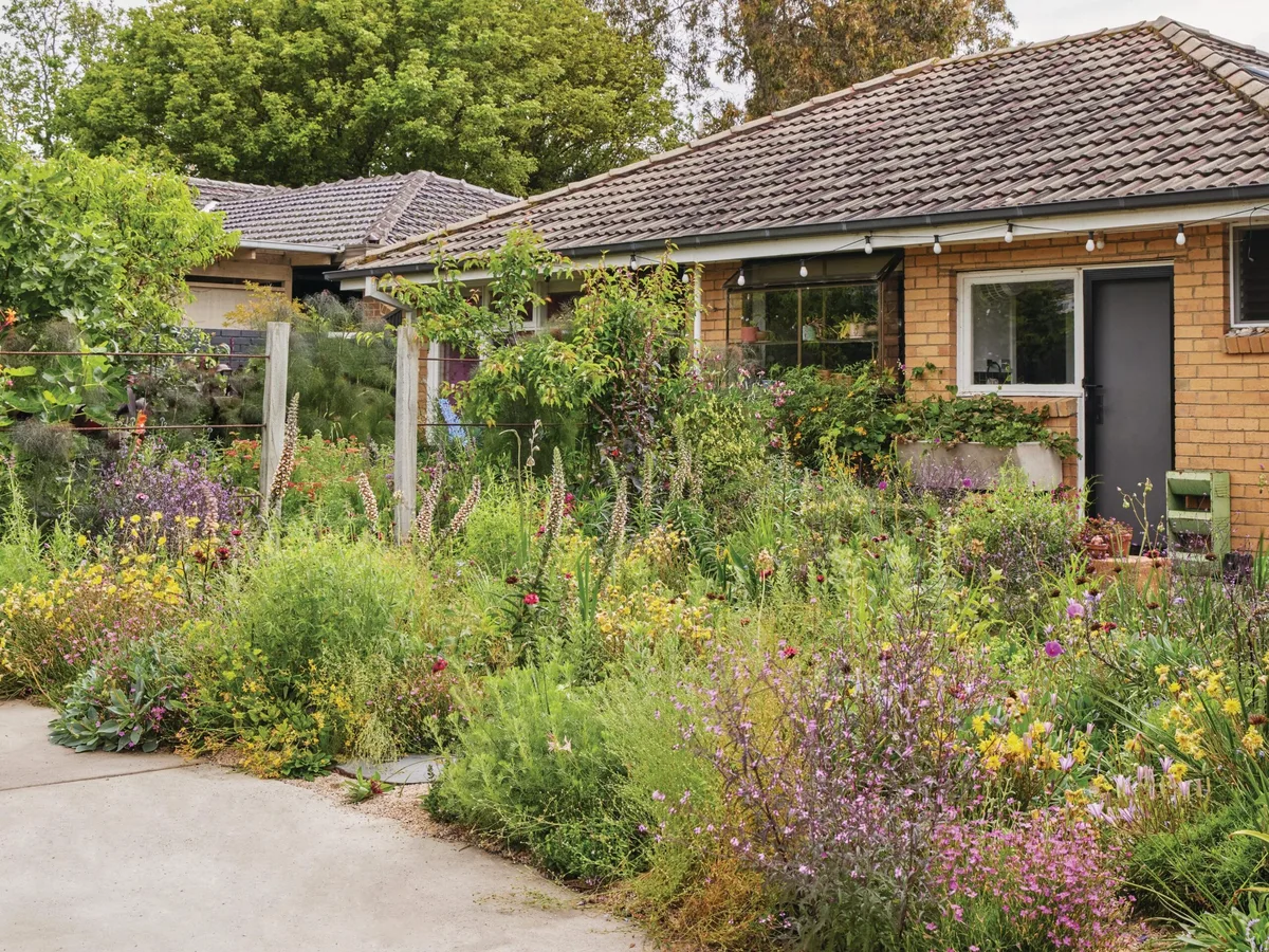 Exterior of house and floral front garden in Jac Semmler's garden