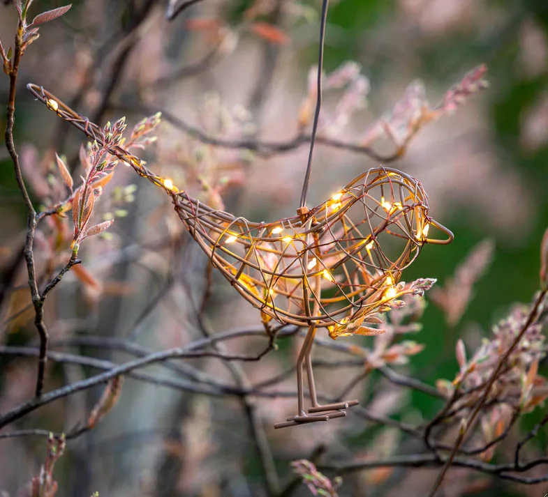 Hanging robin light