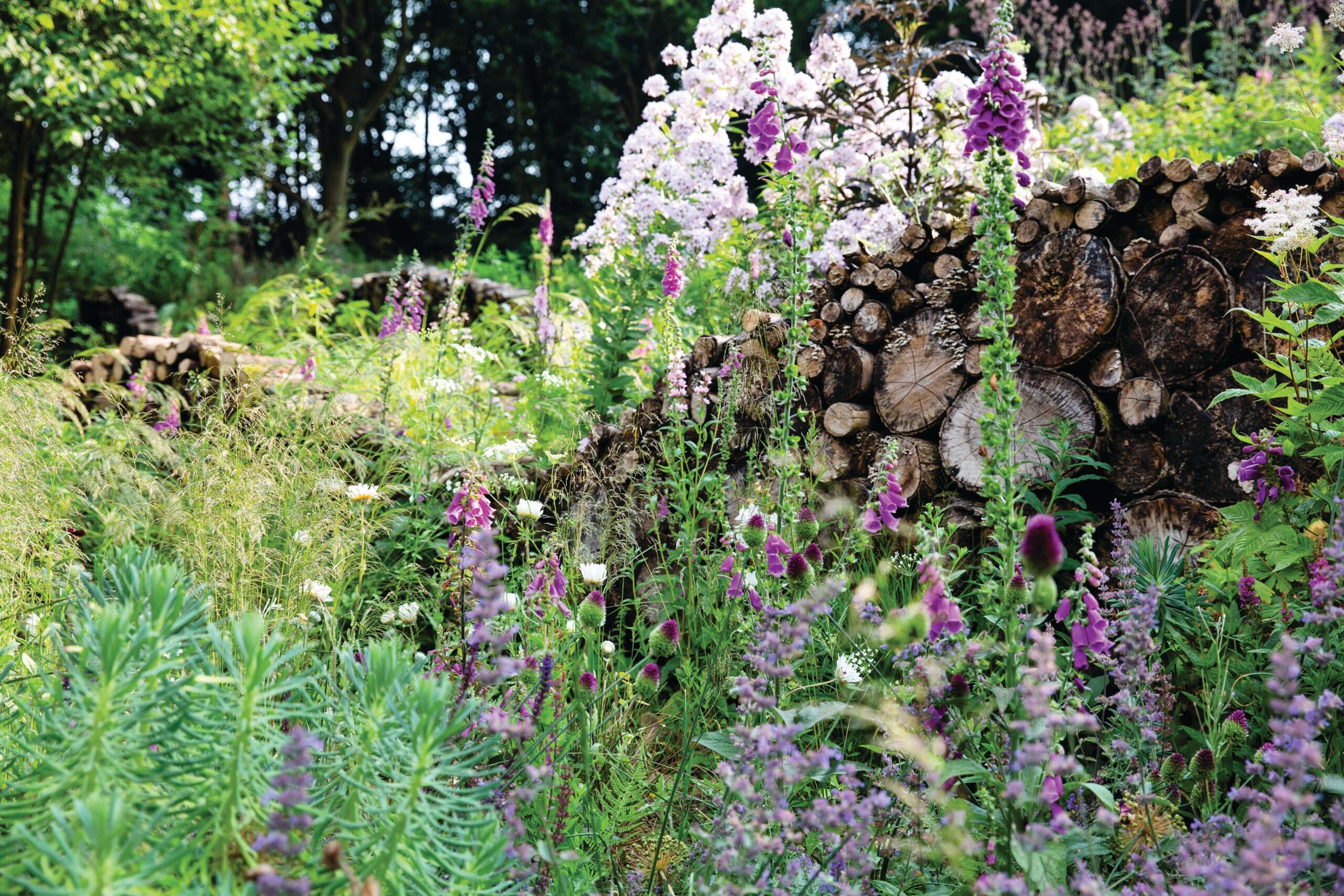 Nigel Dunnett's own garden in Sheffield © Rachel Warne