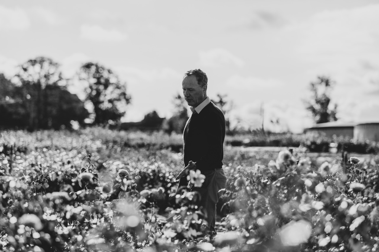 David J. C. Austin
