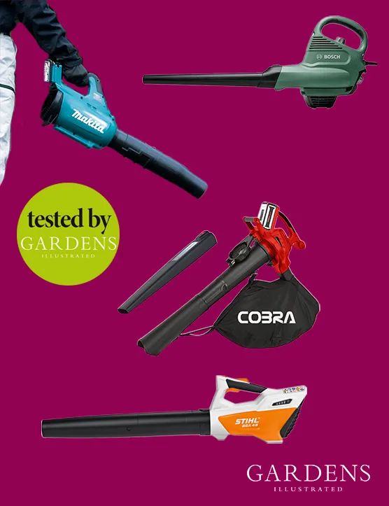 The best leaf blowers tested by Gardens Illustrated