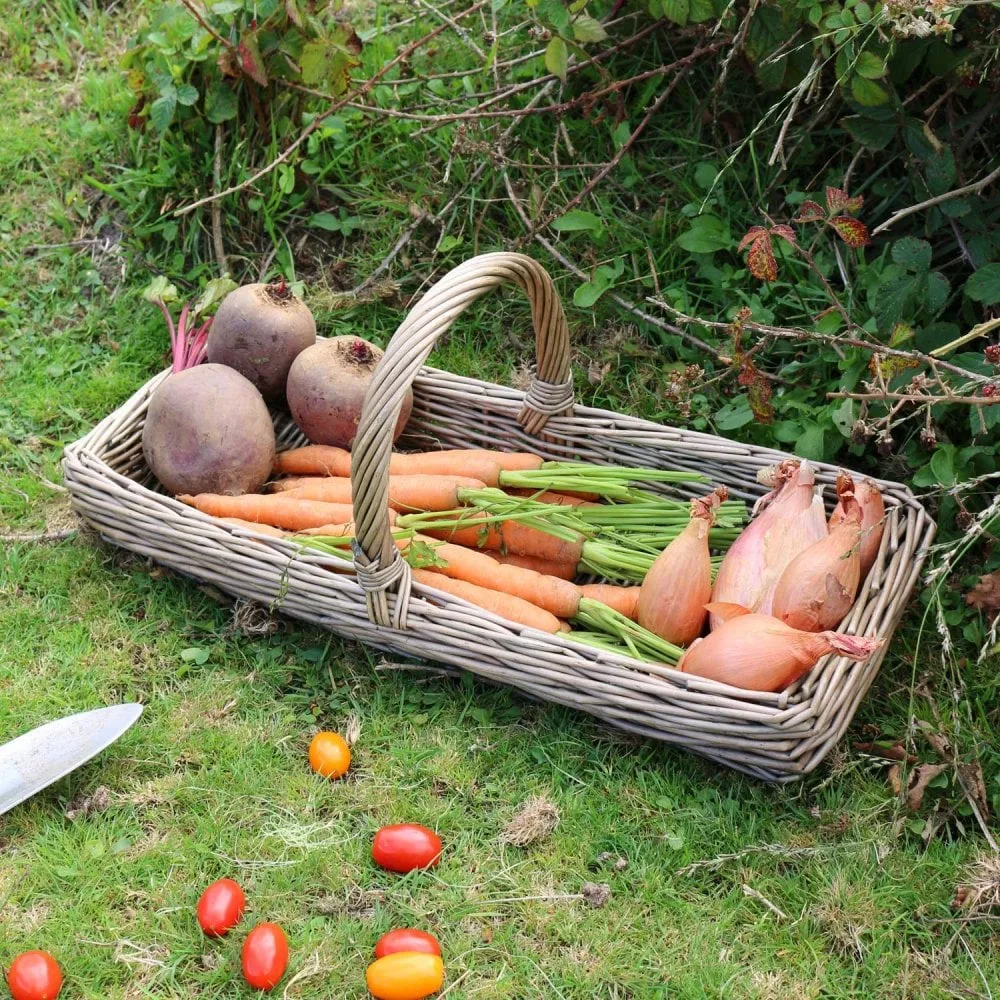 Mini Kew antique wash wicker garden trug, The Basket Company