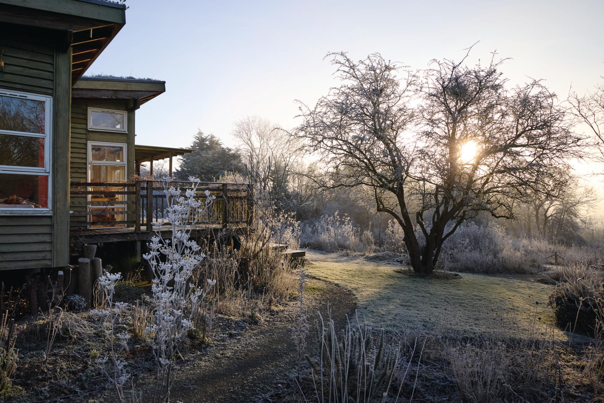 House and garden with tree in winter