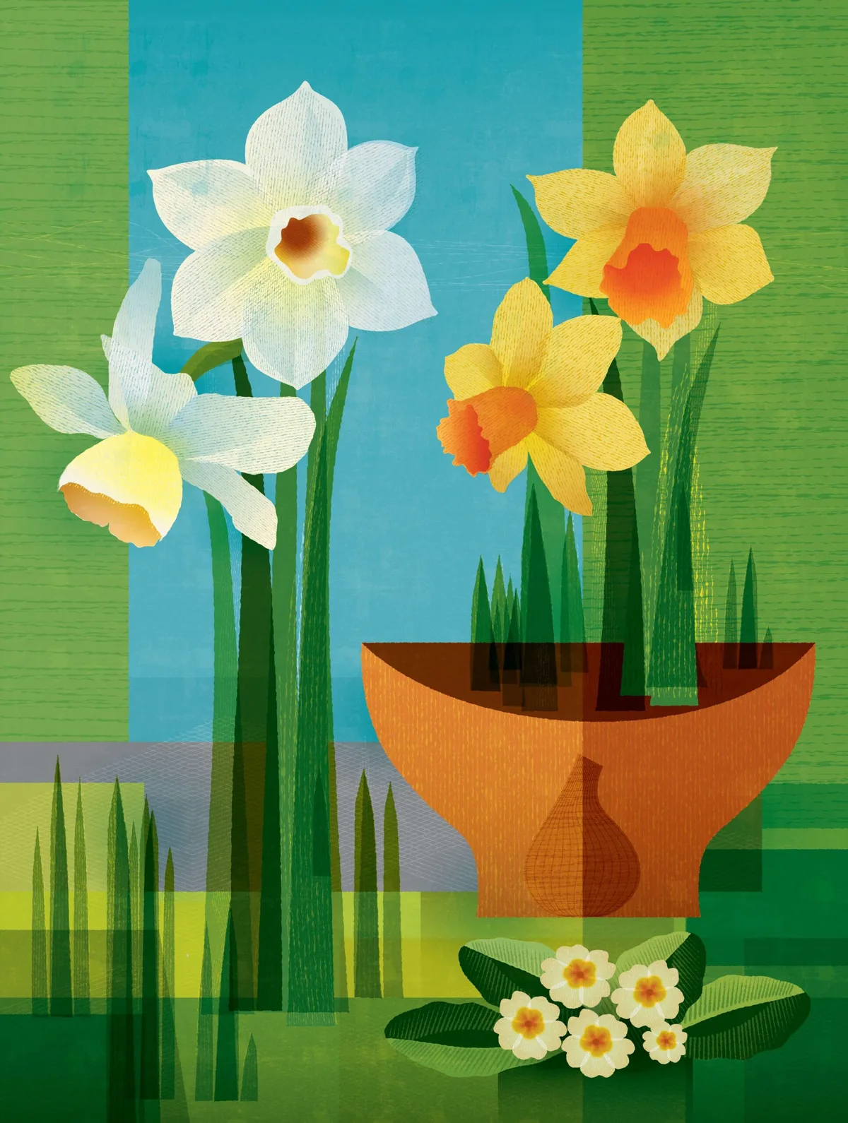 Daffodils illustration by Paul Wearing