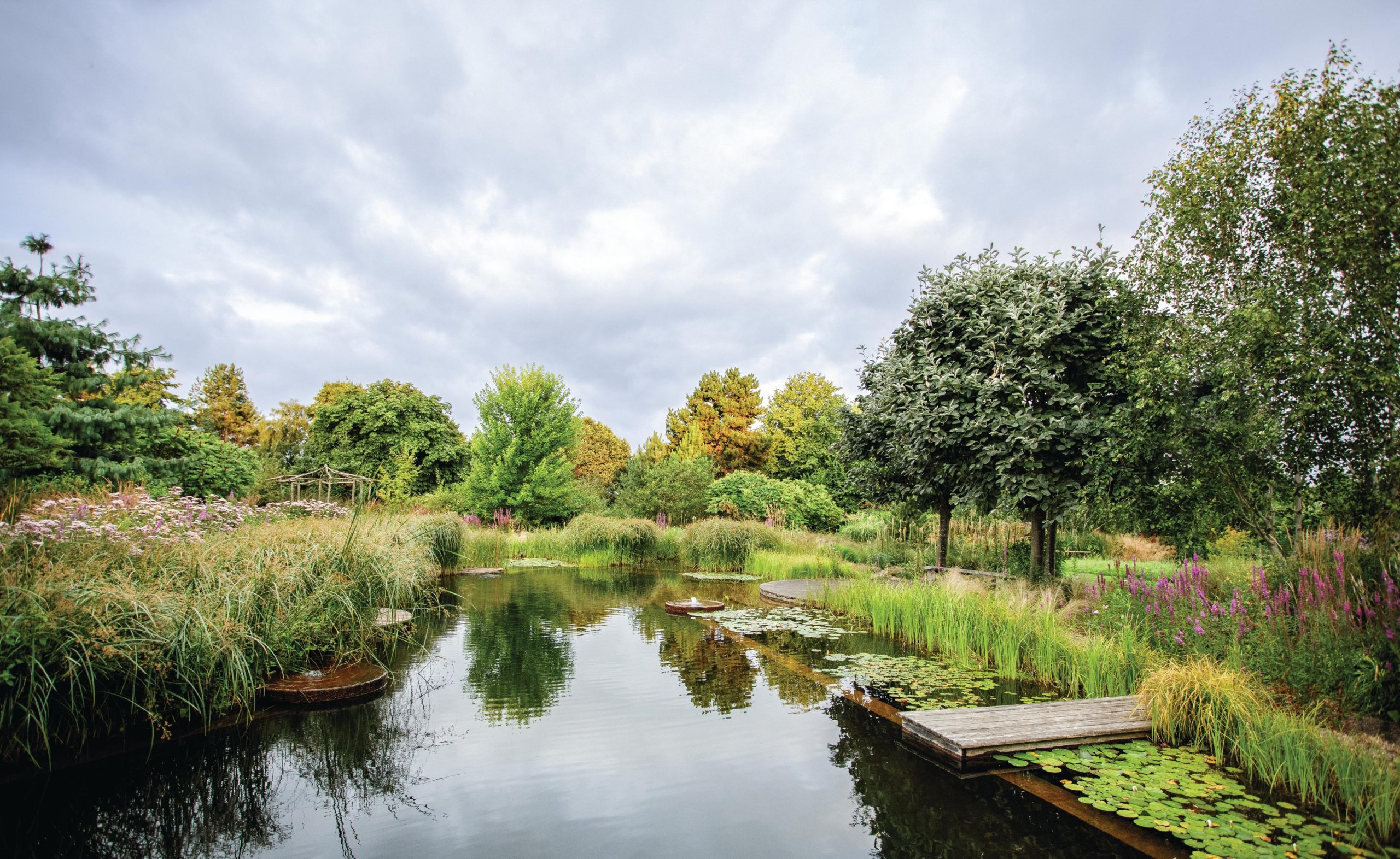 Swimming pond in garden