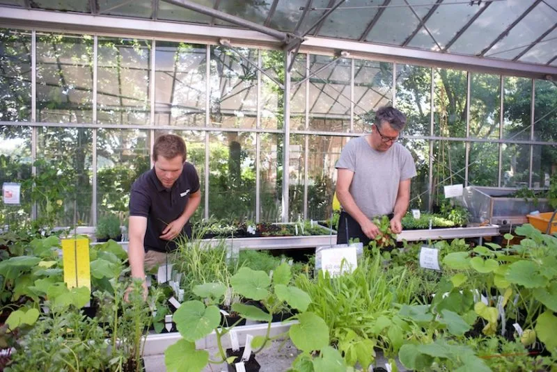 Nurserymen at EdibleCulture
