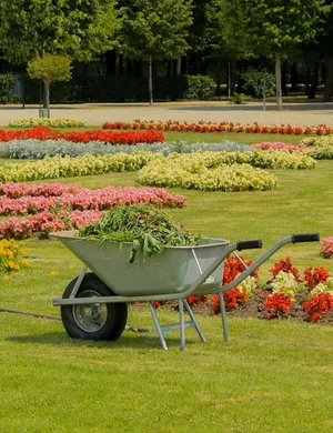 Best wheelbarrows A wheelbarrow of weeds in a flower garden