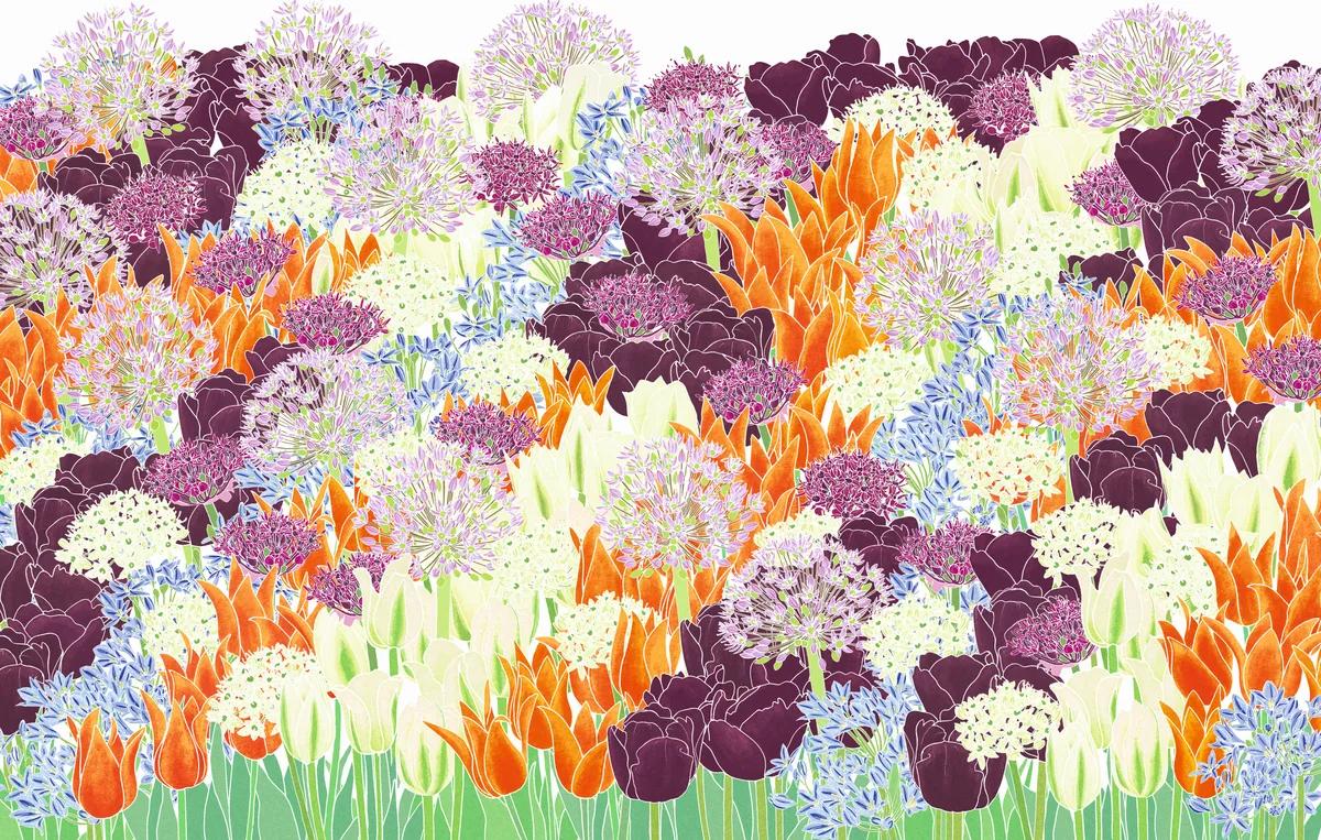 striking border of bulbs