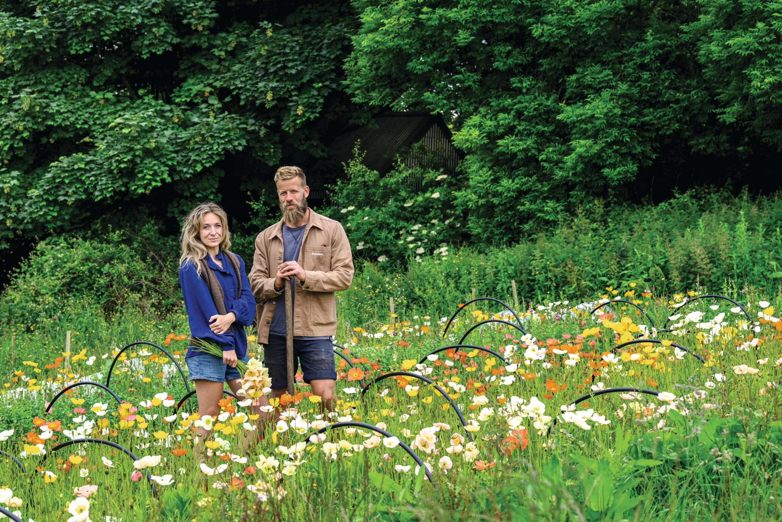 Two people standing in a flower field