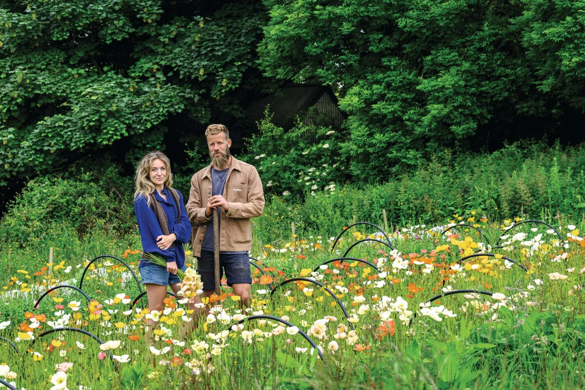 Two people standing in a flower field