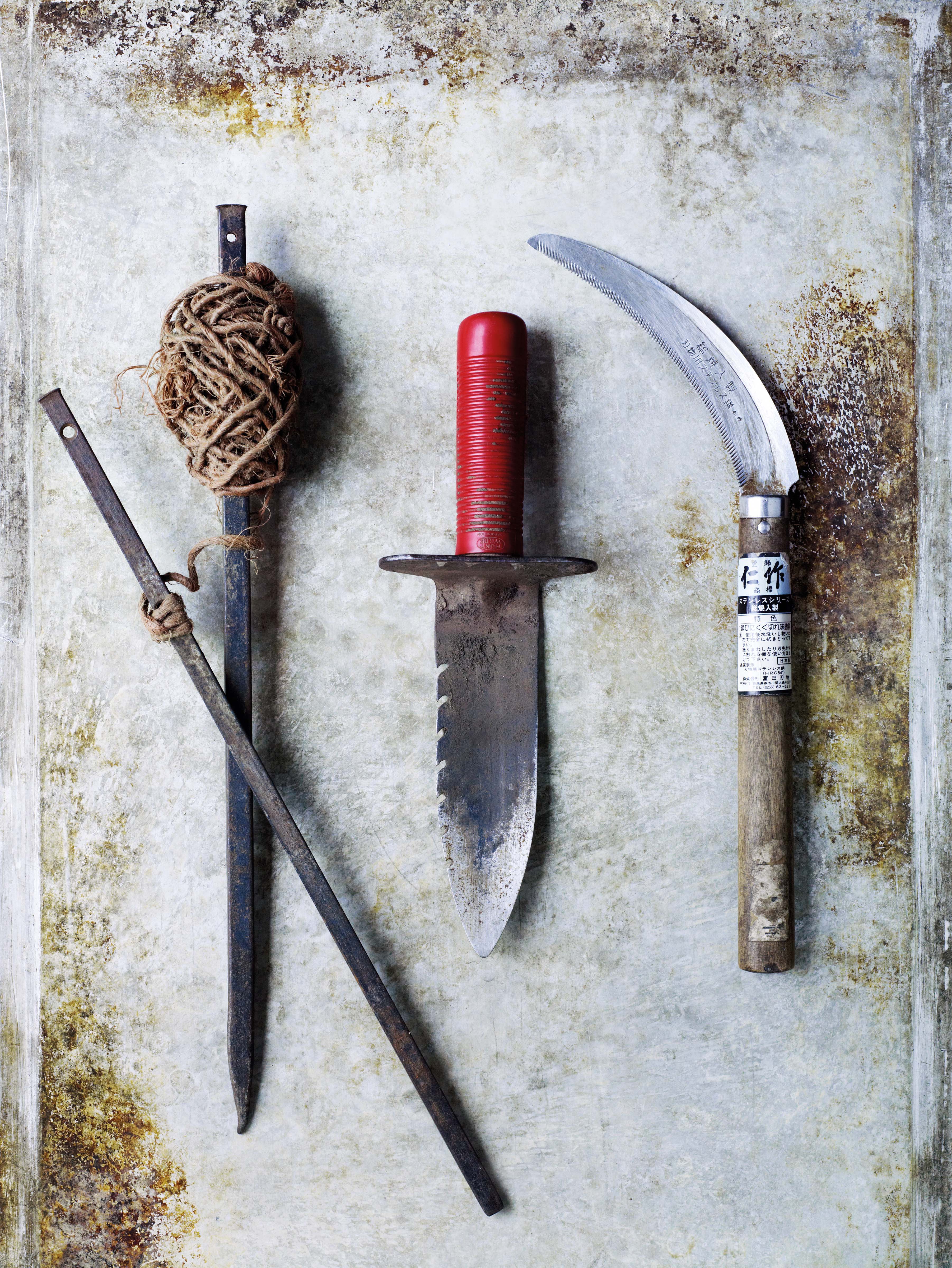 Garden experts must have tools