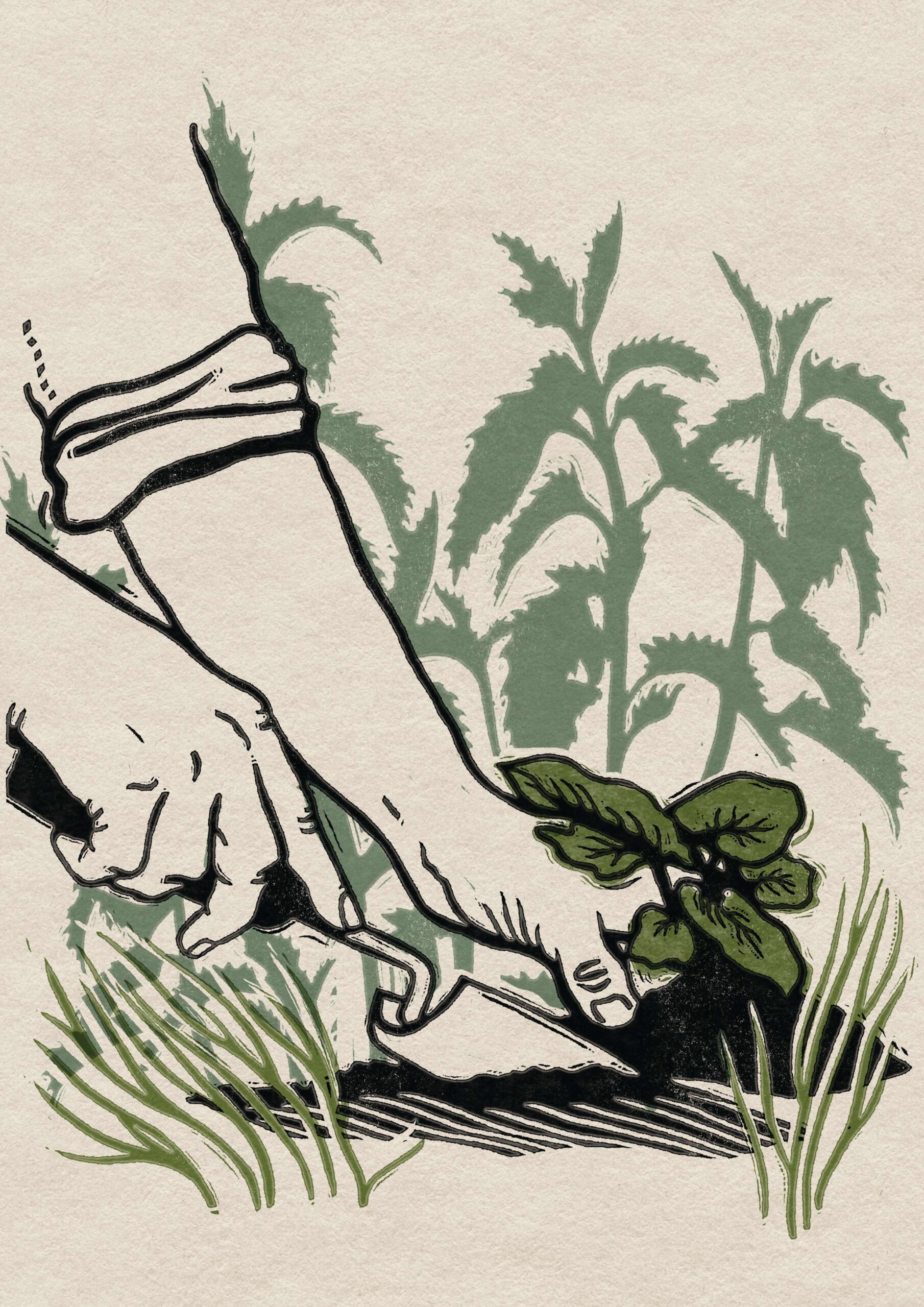 An illustration of hands weeding in a garden