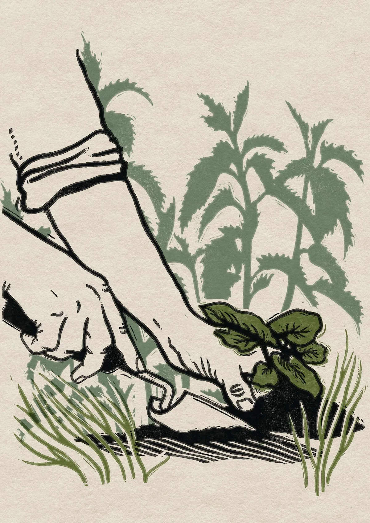 An illustration of hands weeding in a garden