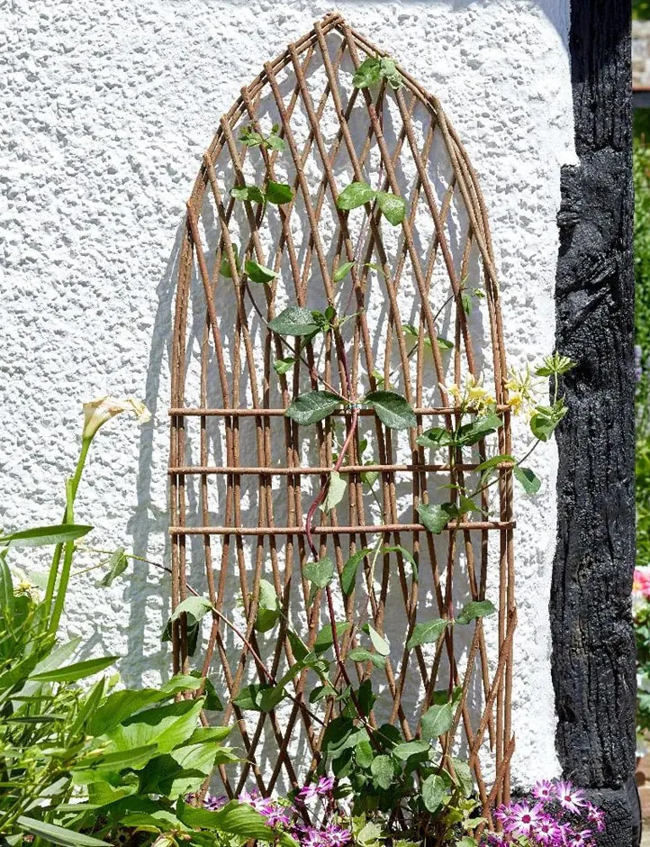 Minster willow trellis against a garden wall