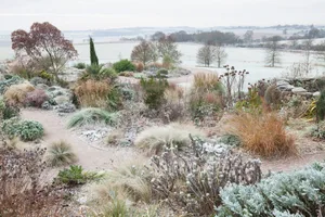 Frost in The Dry Garden in winter at RHS Garden Hyde Hall. Frost in The Dry Garden in winter at RHS Garden Hyde Hall.